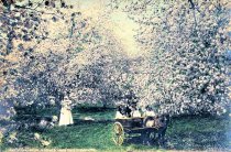 Bell Marguerite Orchard